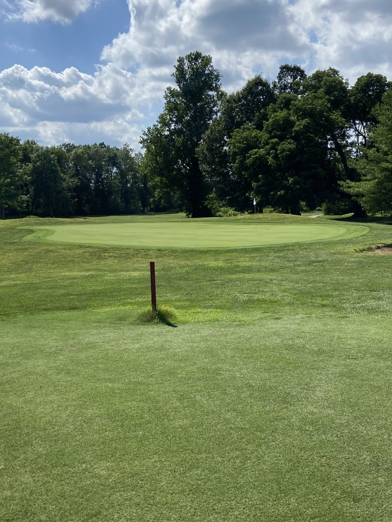 close up of a green at The Pines at Lindsey Wilson