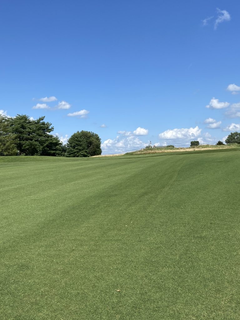 fairway against a clear sky